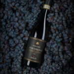 L'impronta aromatica del vino