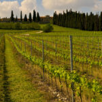 Monte del Frà e la battaglia del Custoza