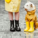Piogge fino al 5 maggio. Le previsioni de iLMeteo