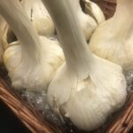Aglione della Valdichiana l’aglio del bacio