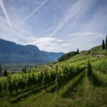 World's Best Vineyards 2023: la cantina Ceretto è la più bella d'Italia