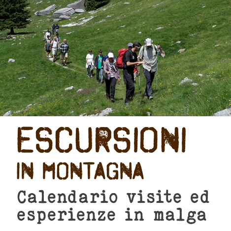 escursioni in montagna made in malga 2023