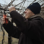 Lorenzo Tedeschi, 90 anni di Amarone