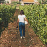 Le cose in comune tra donne, calcio e vino
