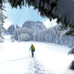 Vacanze di Natale sulla neve