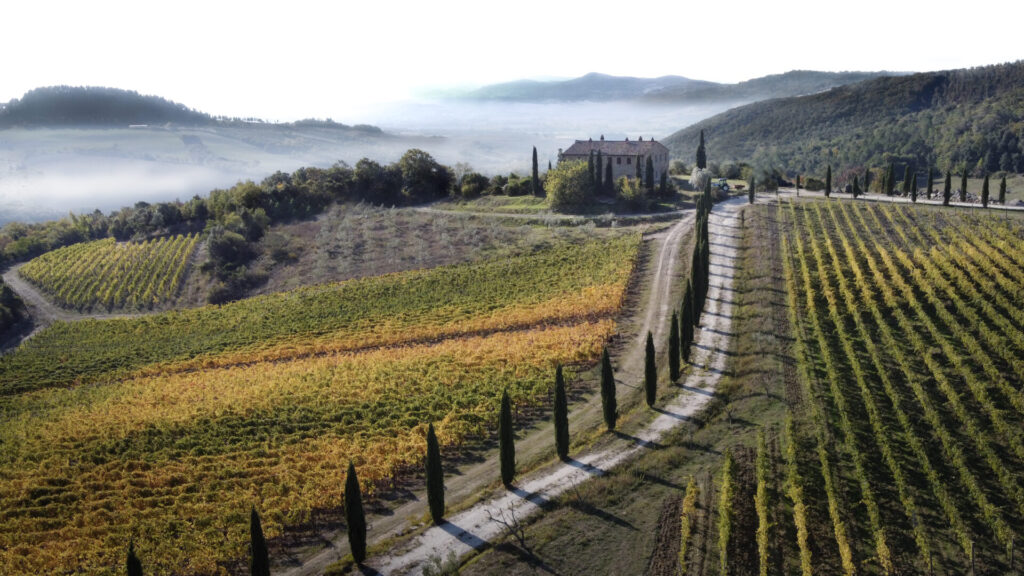 colline albelle ribarbella
