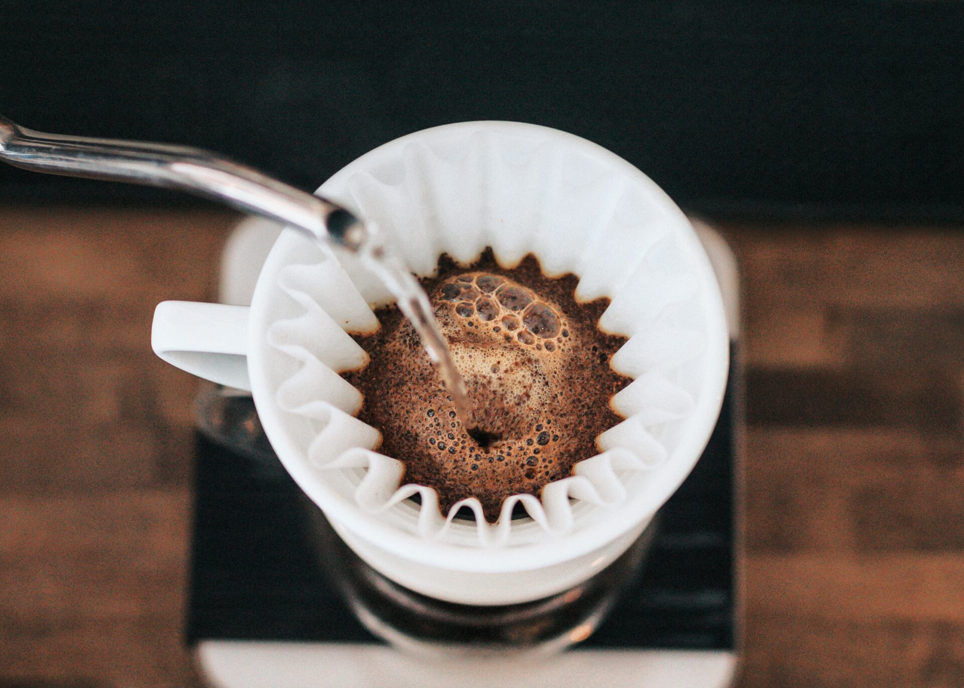 filtro del caffè