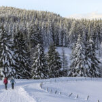 Week end a Lana e Monte San Vigilio in Alto Adige