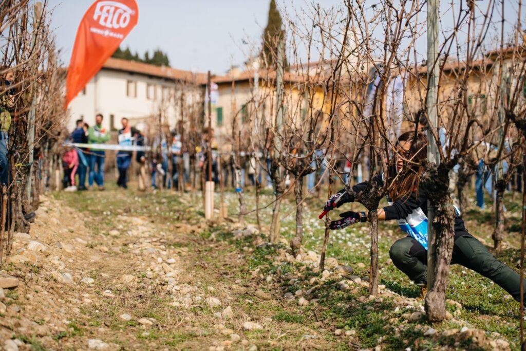 pruning contest