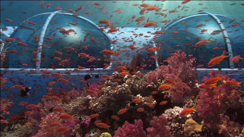 Poseidon Undersea resort isole fiji