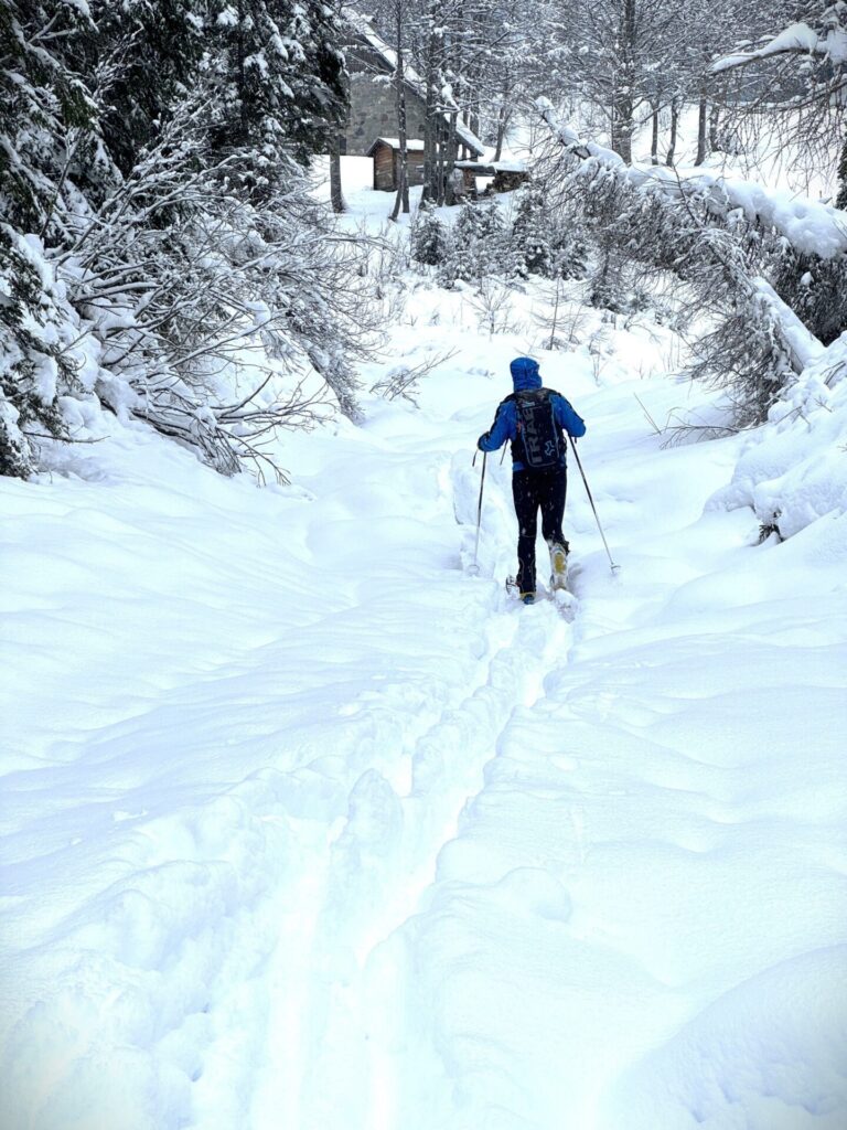carnia visit zoncolan