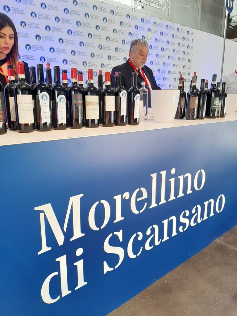 morellino di scansano