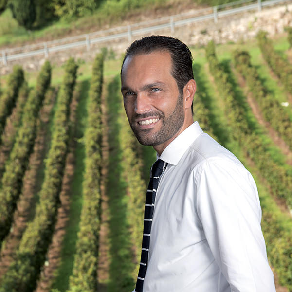 Vito Siragusa, Al vigneto