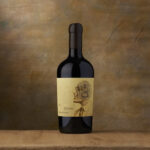 Cantina Valpolicella Negrar Domini Veneti FrateFoco 2019 Valpolicella Ripasso Doc