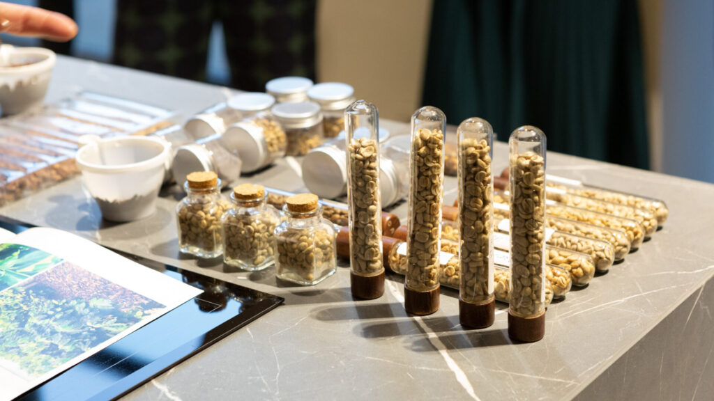 mirabilia specialty coffee experience
