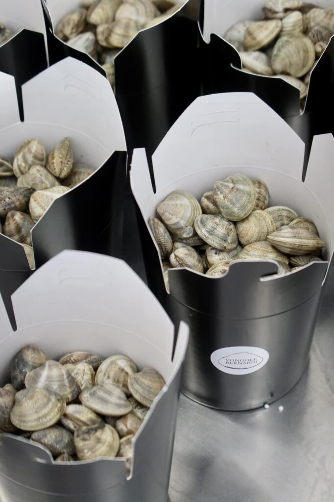 vongole taste