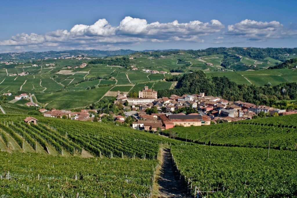 barolo produttori