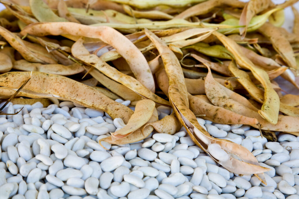 aggiungi un legume a tavola
