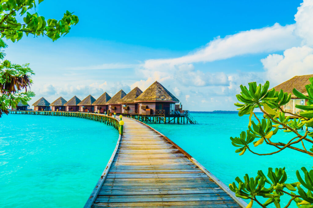 maldive