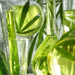 La canapa per la skincare per lui