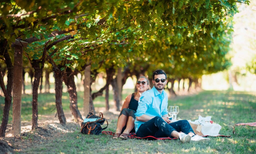 roeno pic nic in vigna