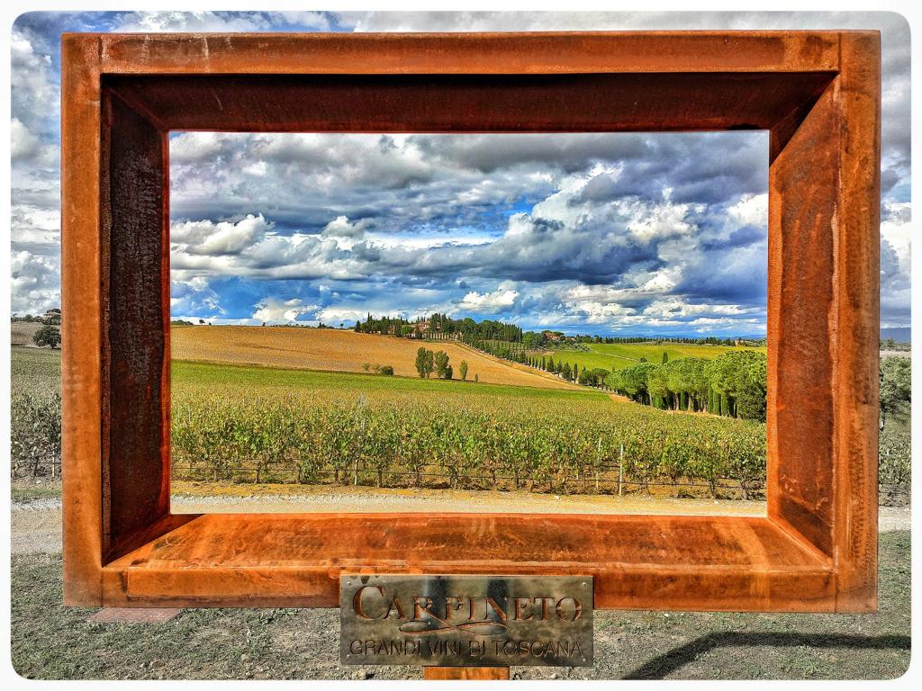 carpineto toscana