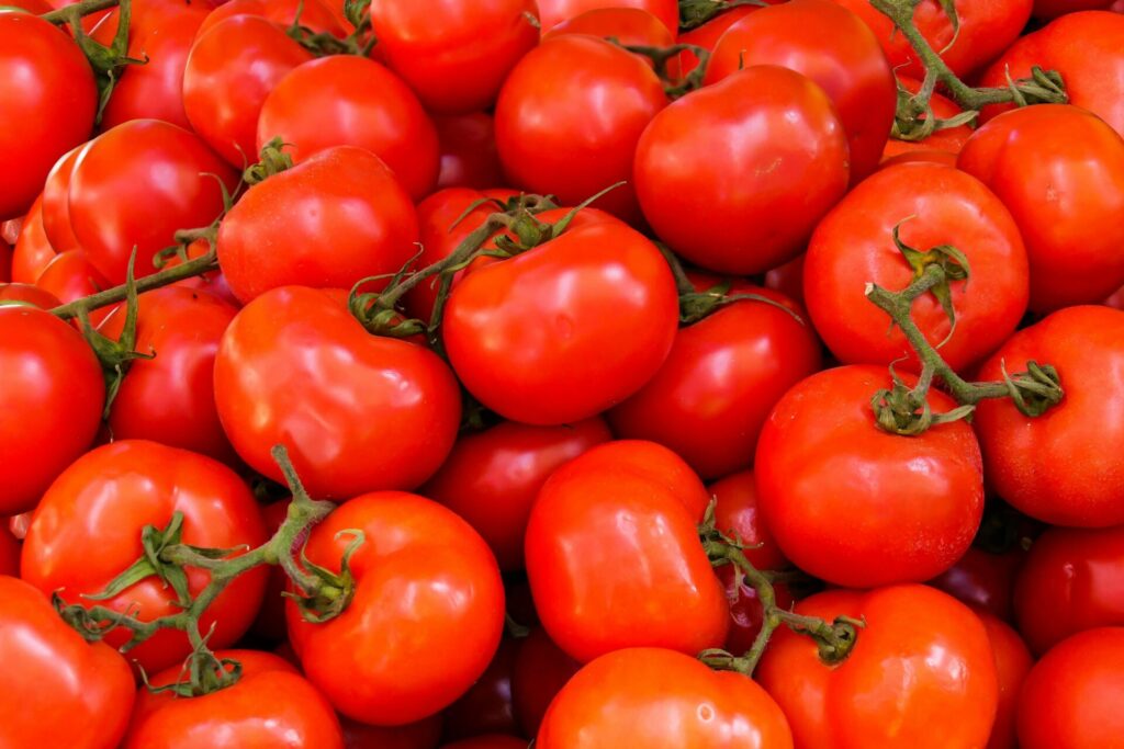 CONSERVA DI POMODORO EXPORT