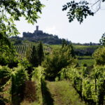 Oltrepò Pavese, è tempo di rinascita?