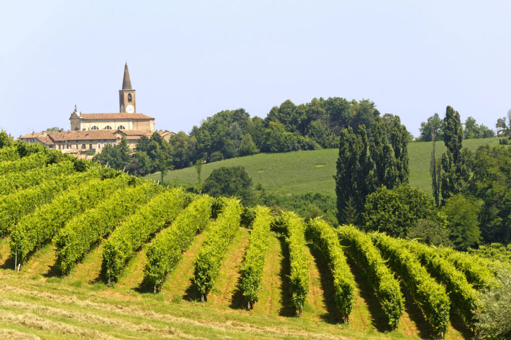 oltrepò pavese vini