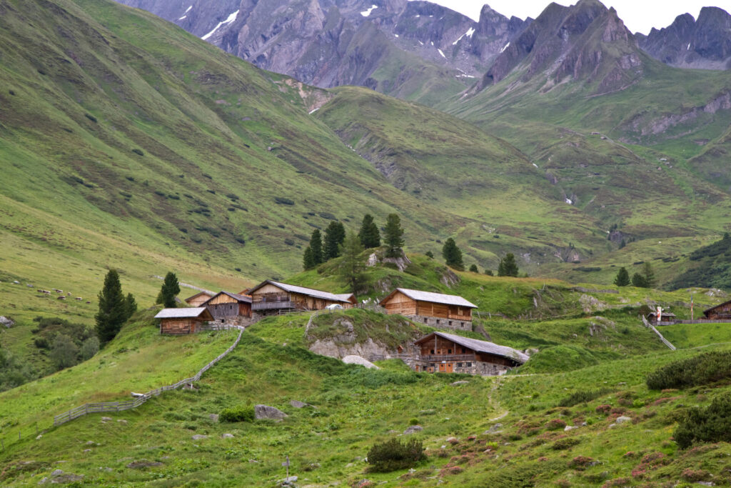 malghe in fiore
