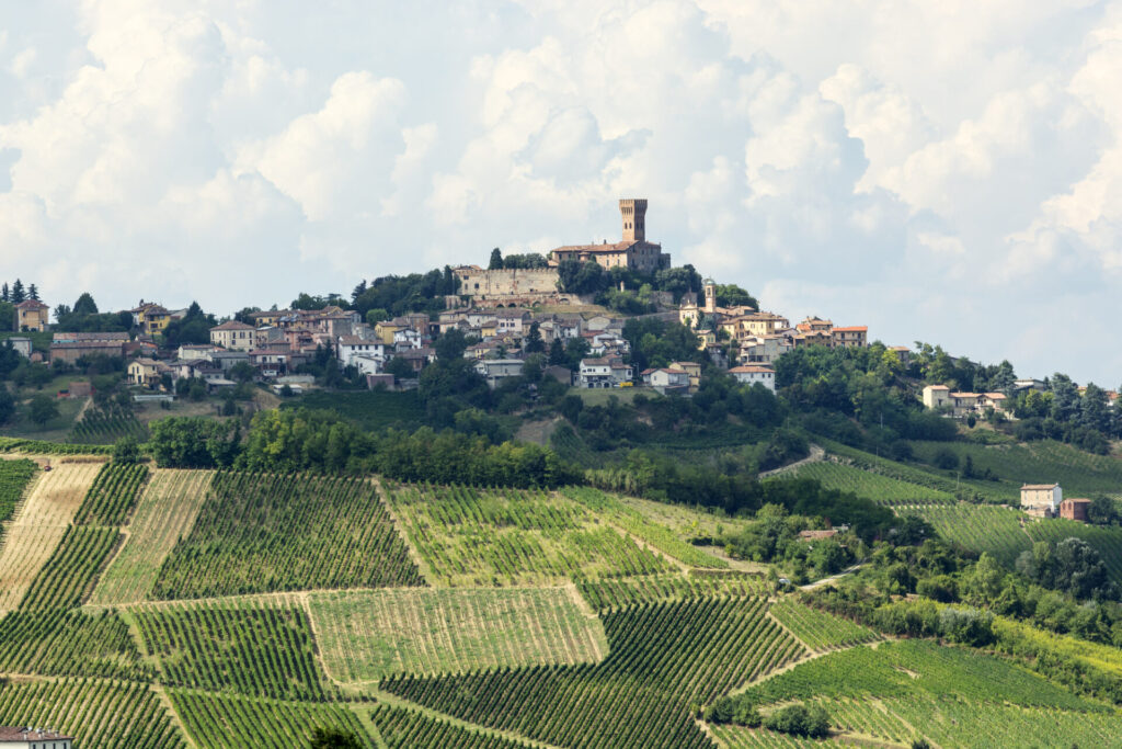 Castello di Cicognola oltrepò pavese