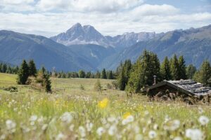 Malghe in Fiore, l’evento più autentico dell’Alto Adige