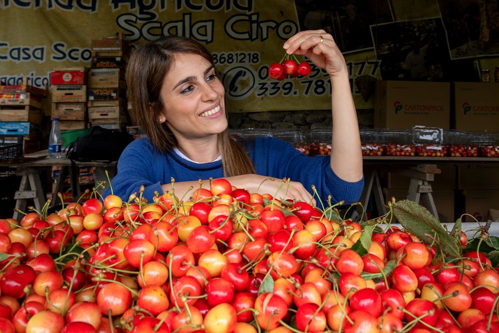ciliegia somma dei monti lattari