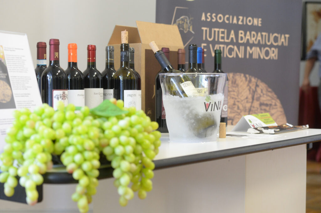 vini all'insù perosa argentina