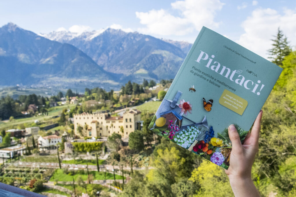LIBRO PIANTACI