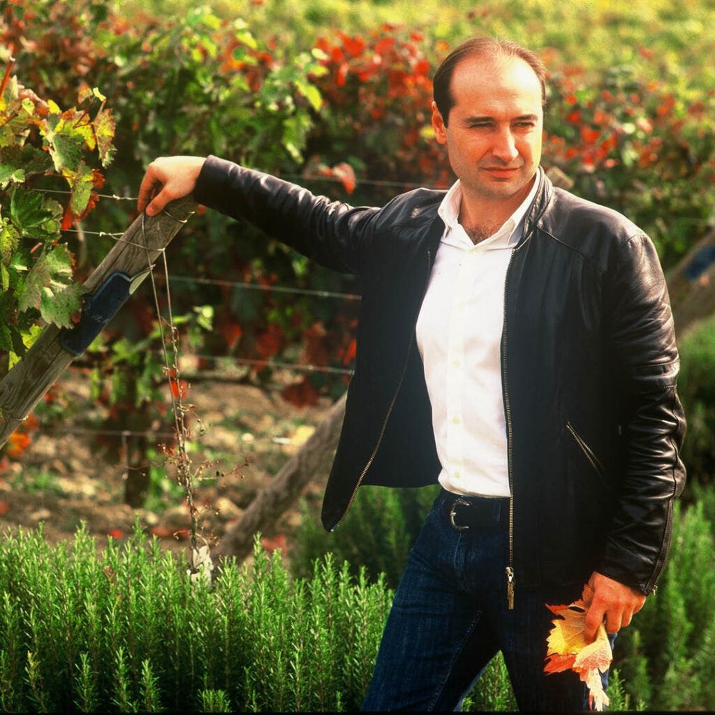 tommaso e roberto cavalli wines