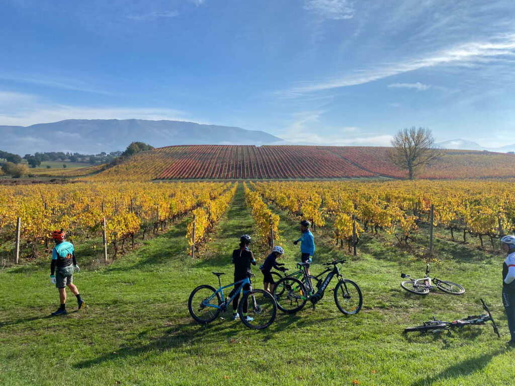 vigneti aperti umbria