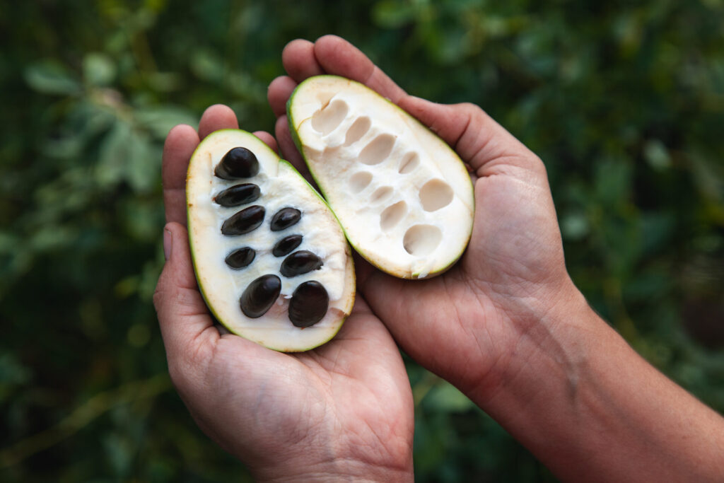 PAWPAW