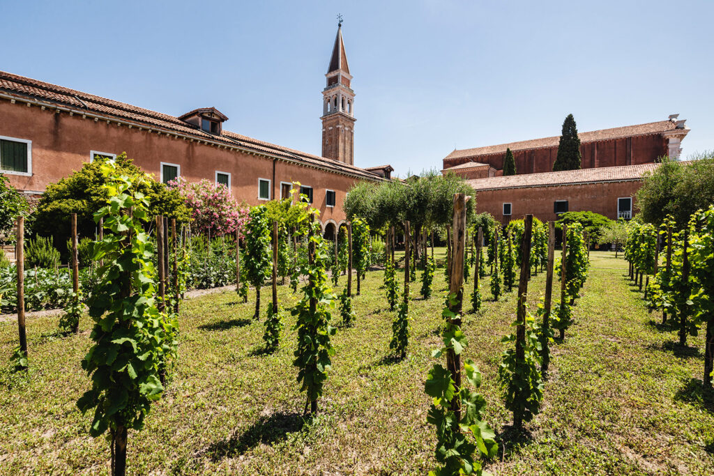 san francesco della vigna venezia