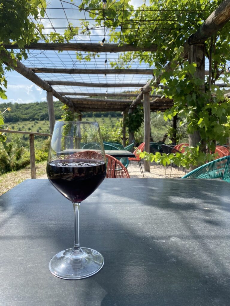 vigneti aperti umbria 2'24