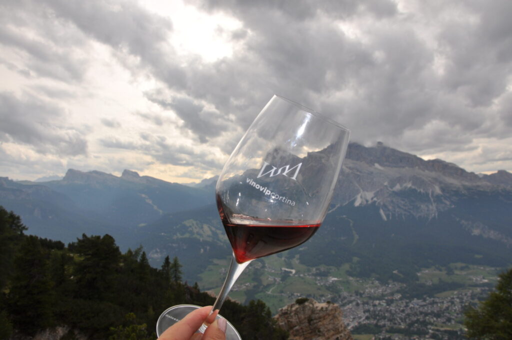vinovip cortina 2024