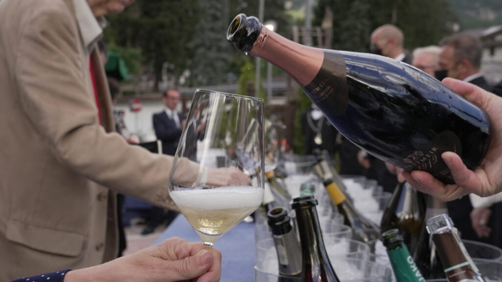 vinovip cortina
