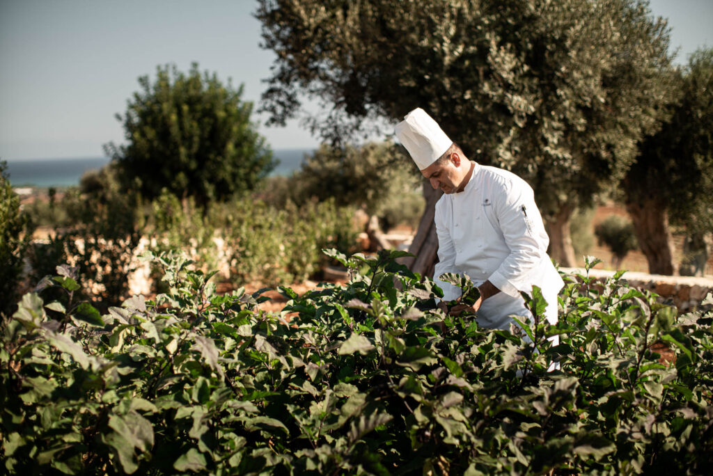 masseria auraterrae