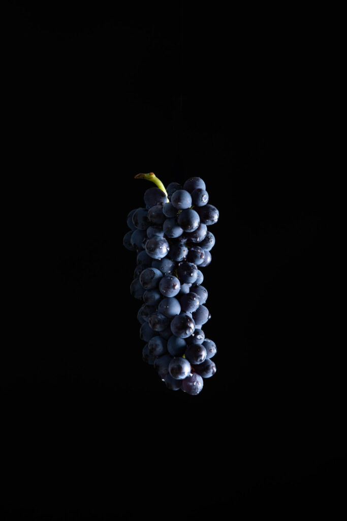 pinot noir