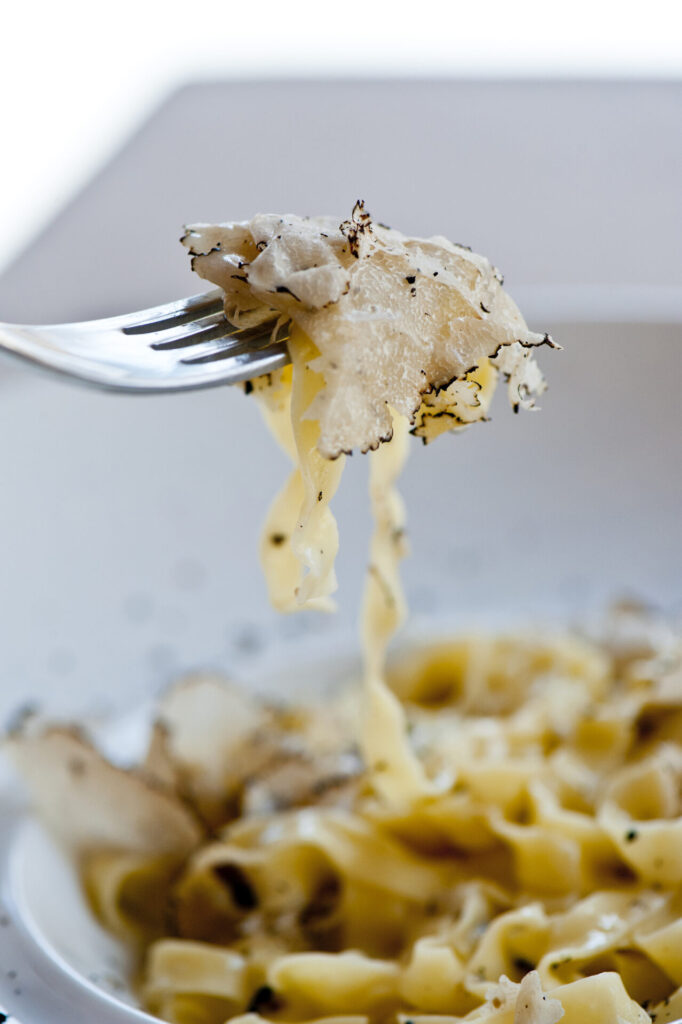 tartufo bianoc istria