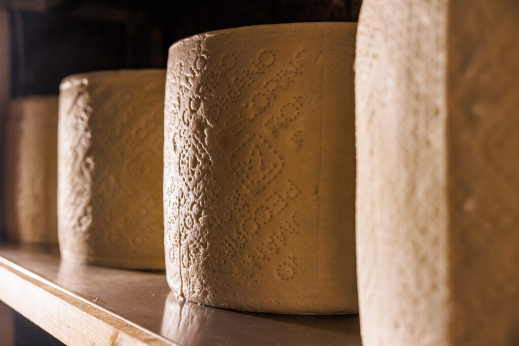pecorino romano taste'accio
