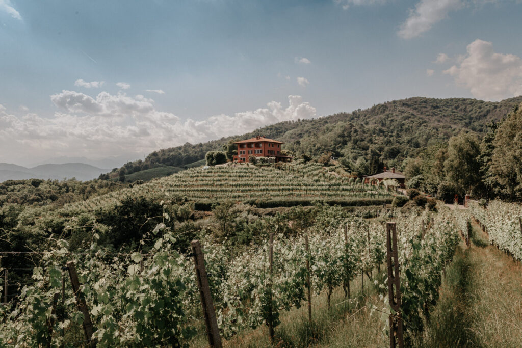 taste alto piemonte