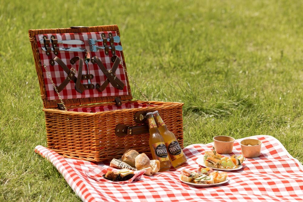 picnic lago di costanza
