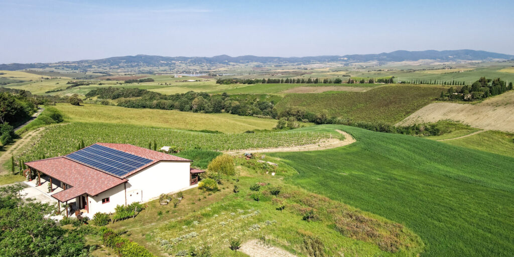 moscardini wine