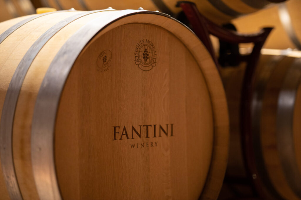 fantini wines sicilia